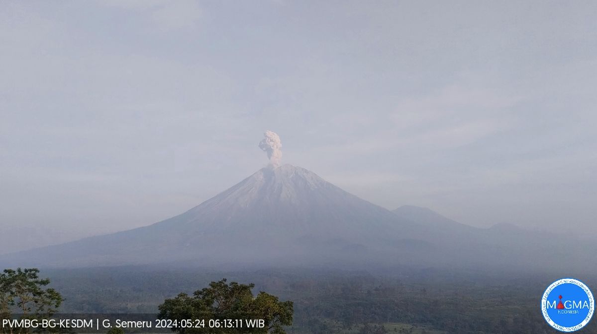 Gunung Semeru Erupsi 6 Kali, Jaga Jarak Aman Radius 13 Km