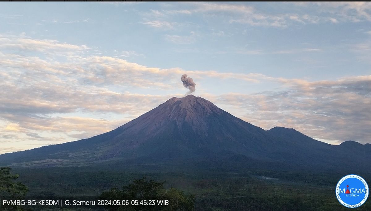 Gunung Semeru Erupsi Pagi Ini, Letusan Capai 700 Meter