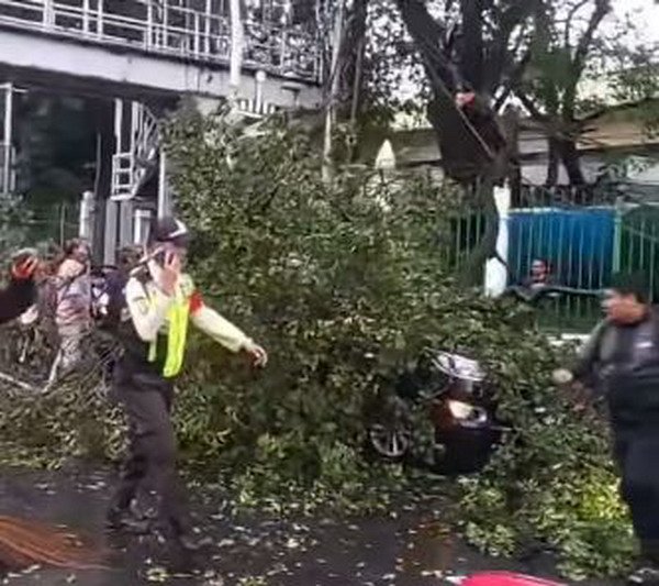 Jakarta Hujan Deras, Pohon Tumbang Timpa Mobil depan Stasiun Gambir