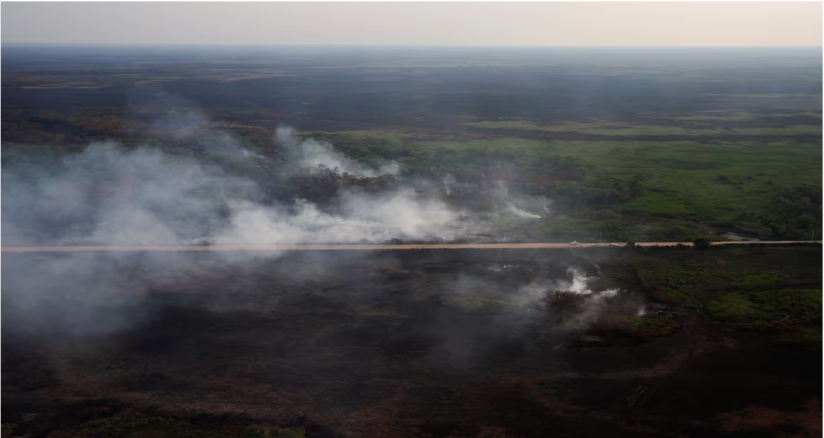 Kebakaran Lahan Basah Brasil Melonjak 980%, Terancam Kekeringan Ekstrem