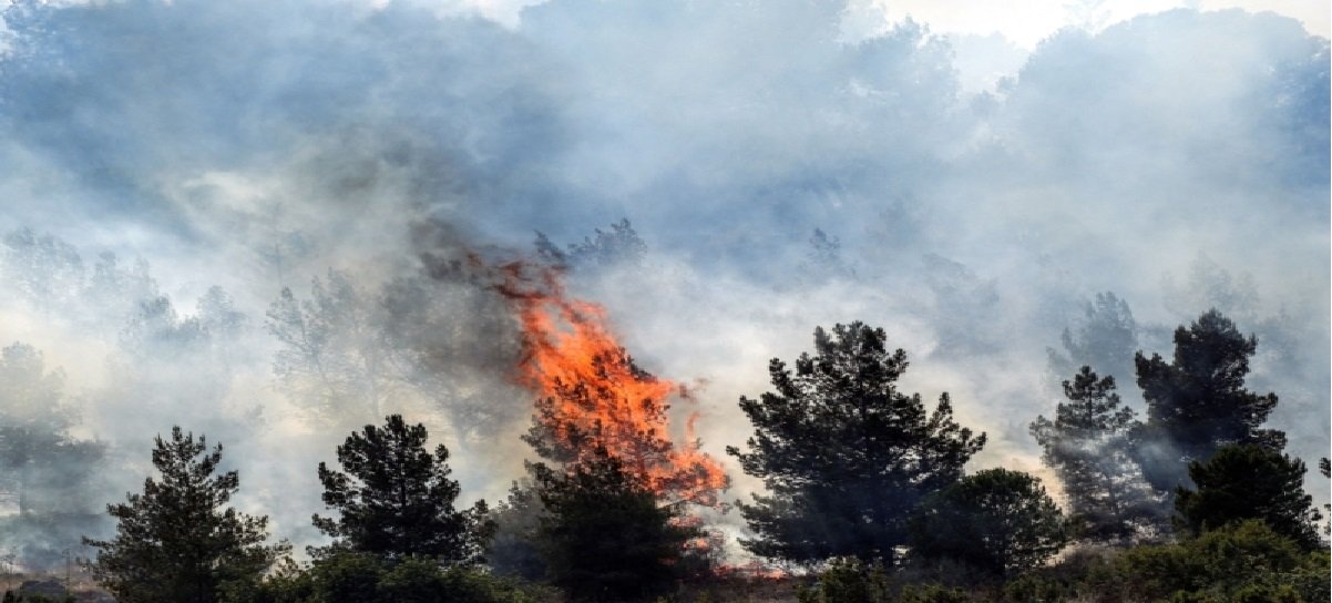 Roket yang Ditembakkan Hizbullah Picu Kebakaran Hutan Menyebar ke Seluruh Israel Utara