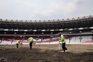 Demi Maksimalkan Laga Kandang Timnas Indonesia, Pengelola SUGBK Diminta Temukan Pola Perawatan Rumput Terbaik